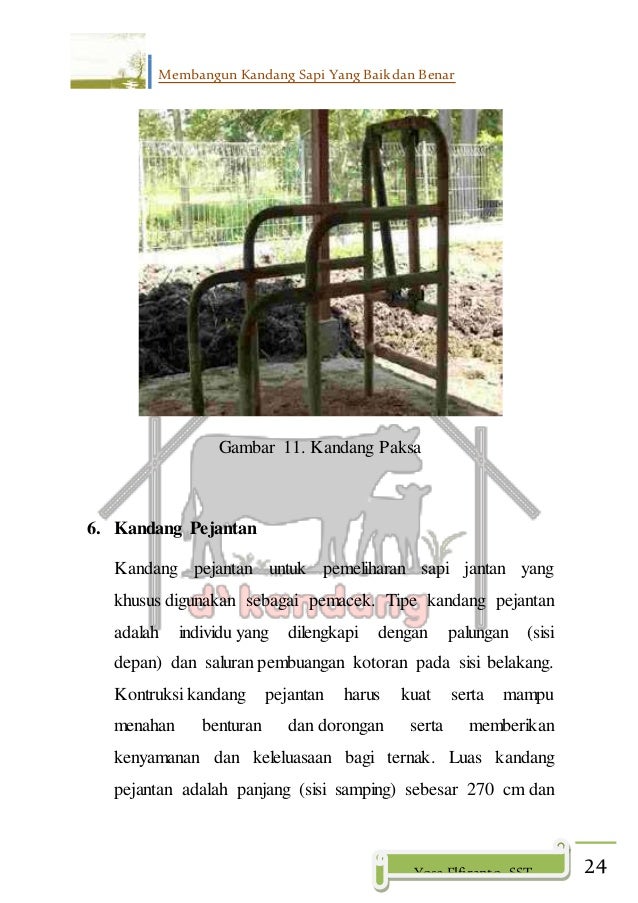 Saduran Membangun Kandang Sapi Yang Baik Dan Benar