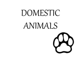 DOMESTIC
ANIMALS
