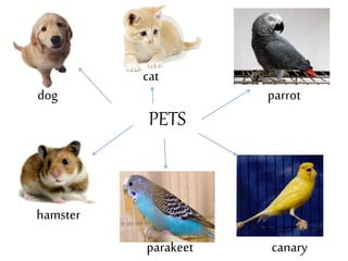 PETS
dog parrot
giraffe
hamster
canary
cat
parakeet