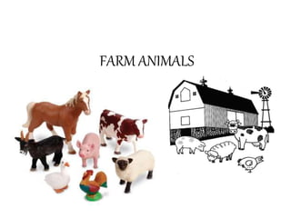 FARM ANIMALS