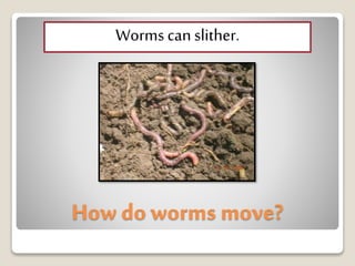 How do worms move?
Worms canslither.
 