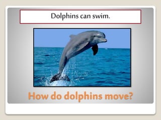 How do dolphins move?
Dolphinscanswim.
 