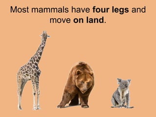 Most mammals have four legs and 
move on land. 
 