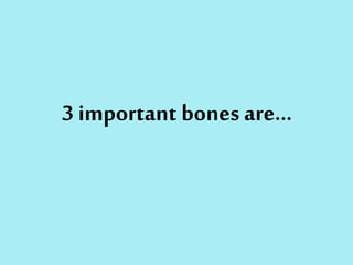 3 important bones are…
 