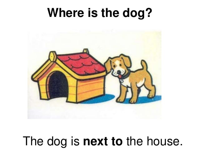 Dog House Dog Bed Dog House Dog Bed