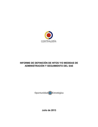 INFORME DE DEFINICIÓN DE HITOS Y/O MEDIDAS DE
ADMINISTRACIÓN Y SEGUIMIENTO DEL SAE
Julio de 2013
 