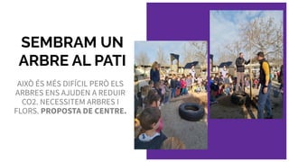 SEMBRAM UN
ARBRE AL PATI
AIXÒ ÉS MÉS DIFÍCIL PERÒ ELS
ARBRES ENS AJUDEN A REDUIR
CO2. NECESSITEM ARBRES I
FLORS. PROPOSTA DE CENTRE.
 