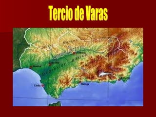 Tercio de Varas 