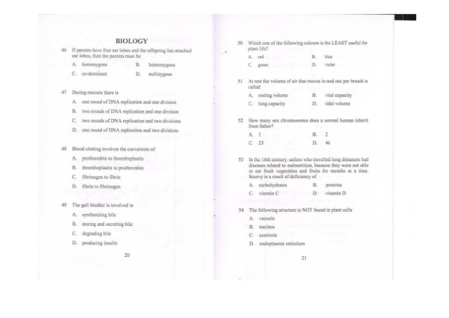 about myself introduction essay technology