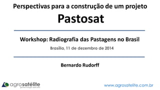Brasília, 11 de dezembro de 2014
www.agrosatelite.com.br
Perspectivas para a construção de um projeto
Pastosat
Bernardo Rudorff
Workshop: Radiografia das Pastagens no Brasil
 