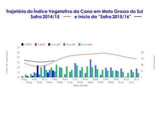 Trajetória do Índice Vegetativo da Cana em Mato Grosso do Sul
Safra 2014/15 e início da “Safra 2015/16”
 
