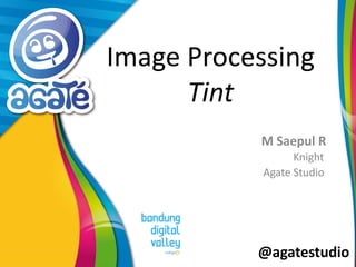@agatestudio
Image Processing
Tint
M Saepul R
Knight
Agate Studio
 
