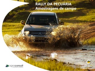 RALLY DA PECUÁRIA
Amostragens de campo
 