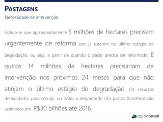 PASTAGENS
Necessidade de intervenção
Estima-se que aproximadamente 5 milhões de hectares precisem
urgentemente de reforma por já estarem no último estágio de
degradação, ou seja, a partir de quando o pasto precisa ser reformado. E
outros 14 milhões de hectares precisariam de
intervenção nos próximos 24 meses para que não
atinjam o último estágio de degradação. Os recursos
demandados para corrigir, ou evitar, a degradação dos pastos brasileiros são
estimados em R$30 bilhões até 2016.
 
