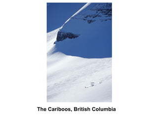 The Cariboos, British Columbia
 