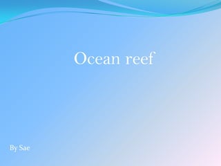 Ocean reef



By Sae
 
