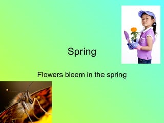 Spring Flowers bloom in the spring 