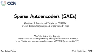 Interpretability of Deep Neural Networks with Sparse Autoencoders | PPT