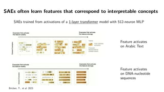 Interpretability of Deep Neural Networks with Sparse Autoencoders | PPT