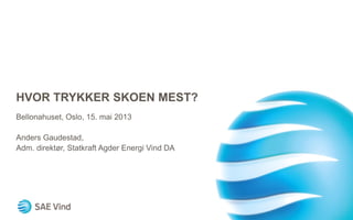 HVOR TRYKKER SKOEN MEST?
Bellonahuset, Oslo, 15. mai 2013
Anders Gaudestad,
Adm. direktør, Statkraft Agder Energi Vind DA
 