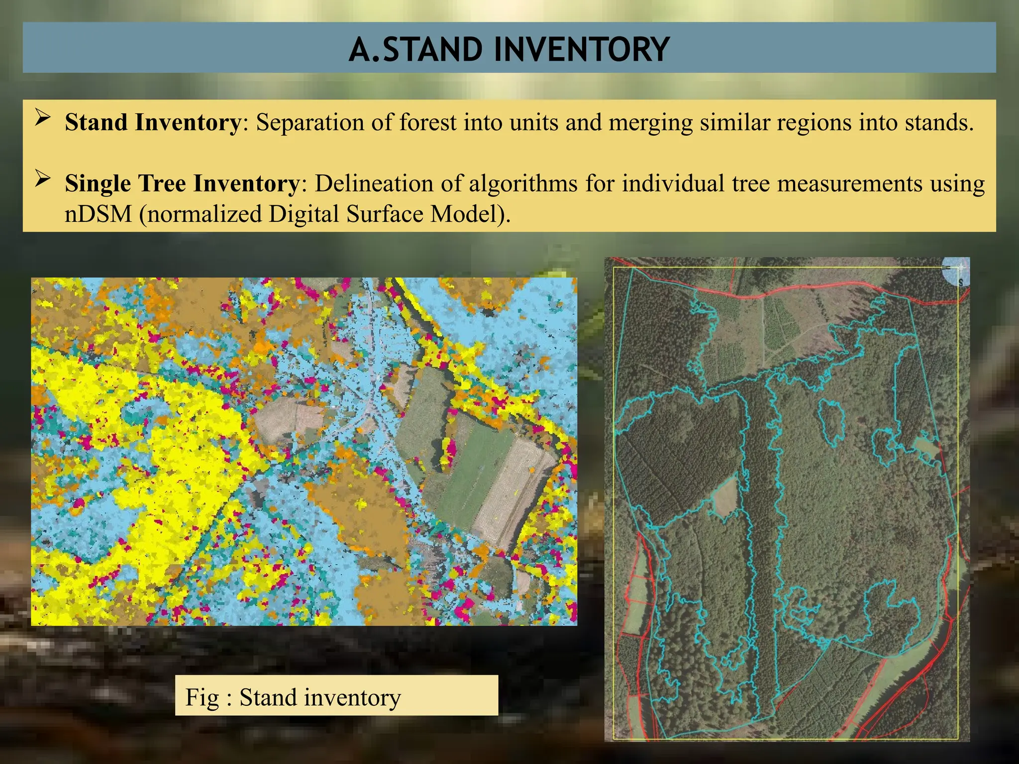 A.STAND INVENTORY
 Stand Inventory: Separation of forest into units and merging similar regions into stands.
 Single Tree Inventory: Delineation of algorithms for individual tree measurements using
nDSM (normalized Digital Surface Model).
Fig : Stand inventory
 