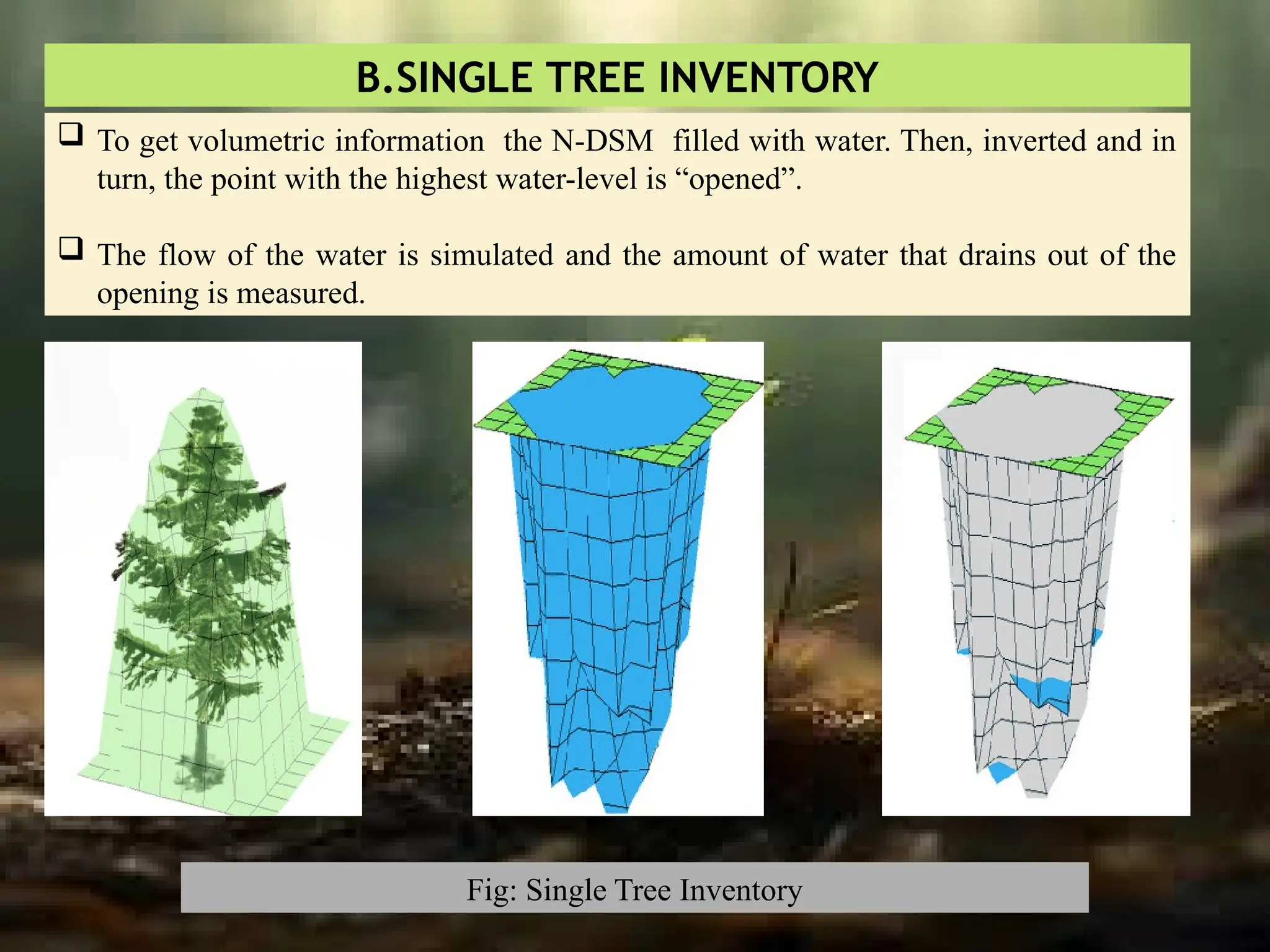 B.SINGLE TREE INVENTORY
 To get volumetric information the N-DSM filled with water. Then, inverted and in
turn, the point with the highest water-level is “opened”.
 The flow of the water is simulated and the amount of water that drains out of the
opening is measured.
Fig: Single Tree Inventory
 