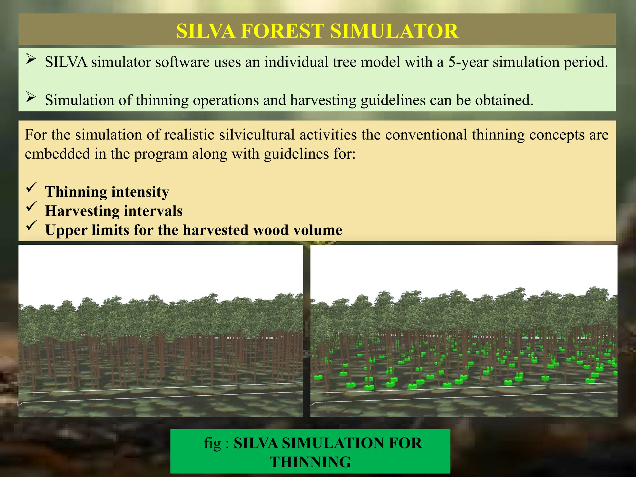 SILVA FOREST SIMULATOR
For the simulation of realistic silvicultural activities the conventional thinning concepts are
embedded in the program along with guidelines for:
 Thinning intensity
 Harvesting intervals
 Upper limits for the harvested wood volume
fig : SILVA SIMULATION FOR
THINNING
 SILVA simulator software uses an individual tree model with a 5-year simulation period.
 Simulation of thinning operations and harvesting guidelines can be obtained.
 