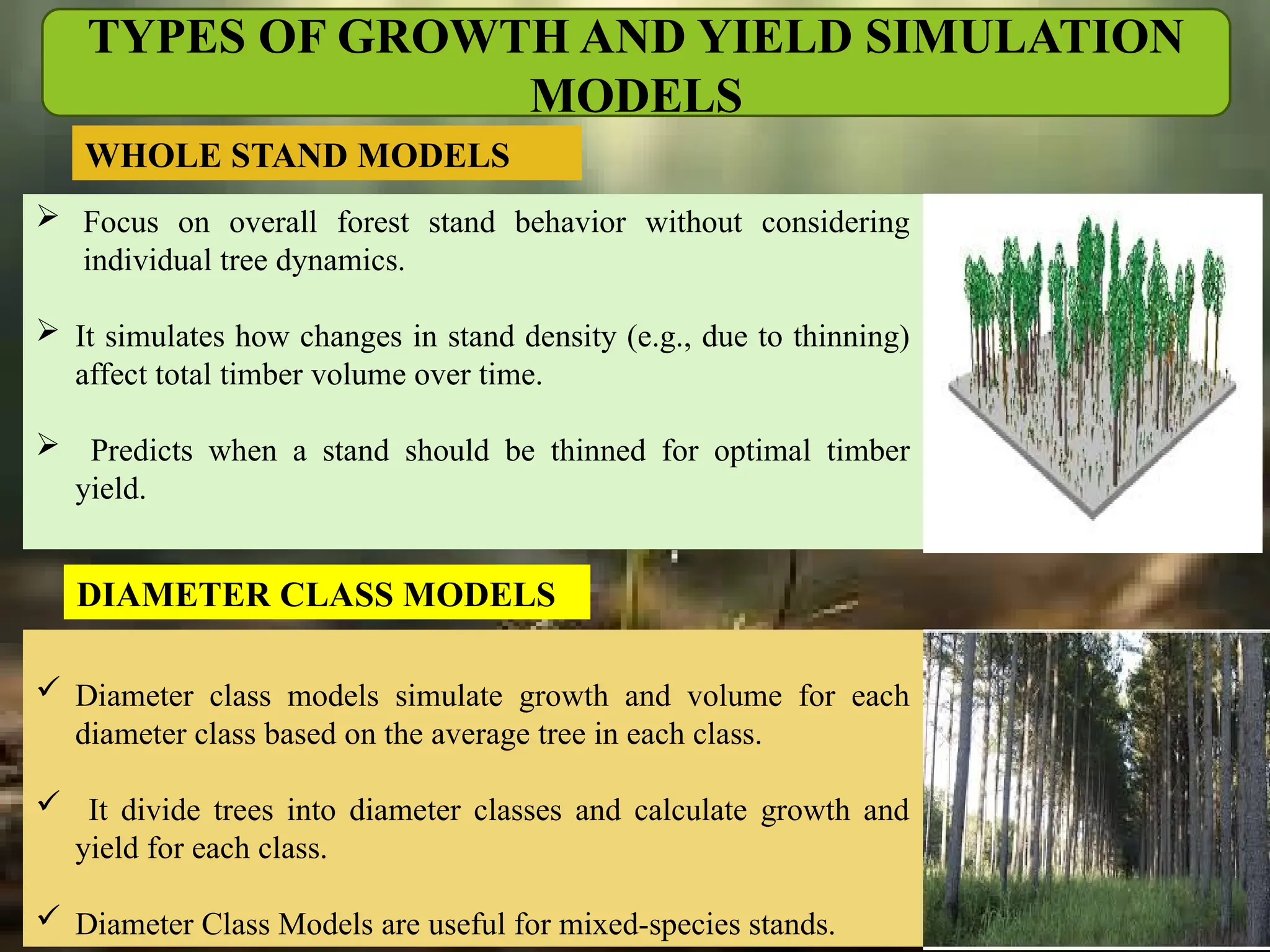 TYPES OF GROWTH AND YIELD SIMULATION
MODELS
 Focus on overall forest stand behavior without considering
individual tree dynamics.
 It simulates how changes in stand density (e.g., due to thinning)
affect total timber volume over time.
 Predicts when a stand should be thinned for optimal timber
yield.
WHOLE STAND MODELS
 Diameter class models simulate growth and volume for each
diameter class based on the average tree in each class.
 It divide trees into diameter classes and calculate growth and
yield for each class.
 Diameter Class Models are useful for mixed-species stands.
DIAMETER CLASS MODELS
 