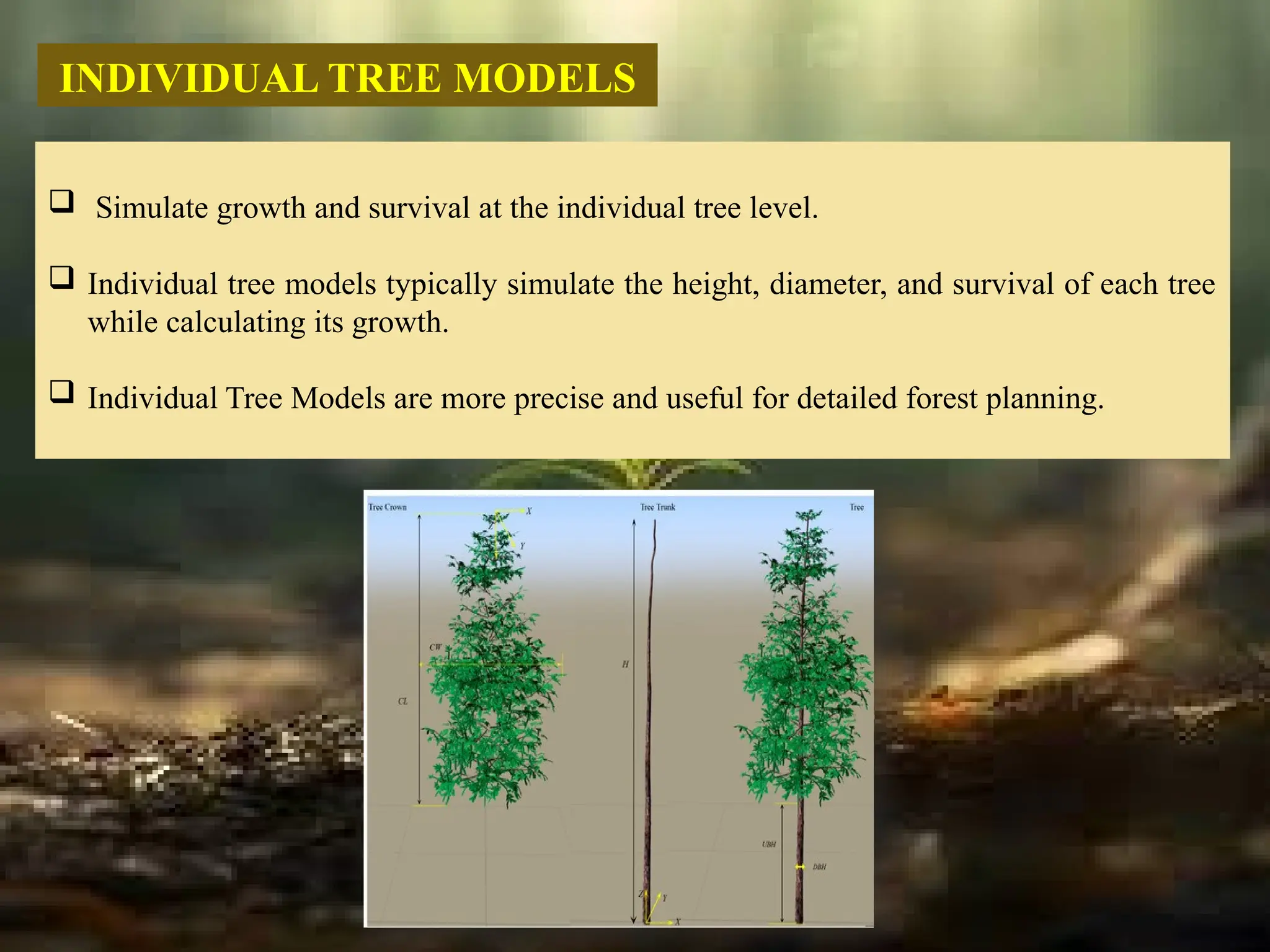  Simulate growth and survival at the individual tree level.
 Individual tree models typically simulate the height, diameter, and survival of each tree
while calculating its growth.
 Individual Tree Models are more precise and useful for detailed forest planning.
INDIVIDUAL TREE MODELS
 