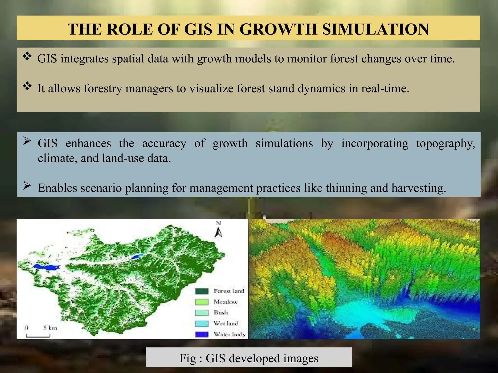 THE ROLE OF GIS IN GROWTH SIMULATION
 GIS integrates spatial data with growth models to monitor forest changes over time.
 It allows forestry managers to visualize forest stand dynamics in real-time.
 GIS enhances the accuracy of growth simulations by incorporating topography,
climate, and land-use data.
 Enables scenario planning for management practices like thinning and harvesting.
Fig : GIS developed images
 