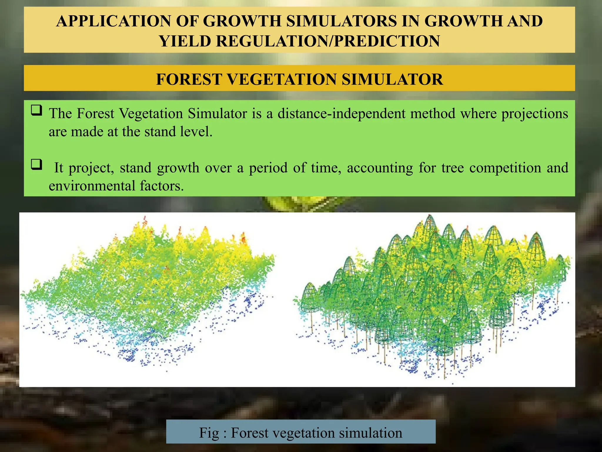 FOREST VEGETATION SIMULATOR
 The Forest Vegetation Simulator is a distance-independent method where projections
are made at the stand level.
 It project, stand growth over a period of time, accounting for tree competition and
environmental factors.
APPLICATION OF GROWTH SIMULATORS IN GROWTH AND
YIELD REGULATION/PREDICTION
Fig : Forest vegetation simulation
 