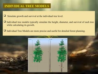 growth simulation yield prediction using different simulation tecnique ...