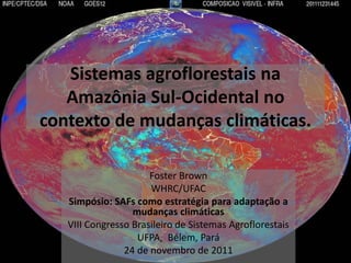 Sistemas agroflorestais na
   Amazônia Sul-Ocidental no
contexto de mudanças climáticas.

                      Foster Brown
                      WHRC/UFAC
   Simpósio: SAFs como estratégia para adaptação a
                  mudanças climáticas
   VIII Congresso Brasileiro de Sistemas Agroflorestais
                   UFPA, Bélem, Pará
                24 de novembro de 2011
 