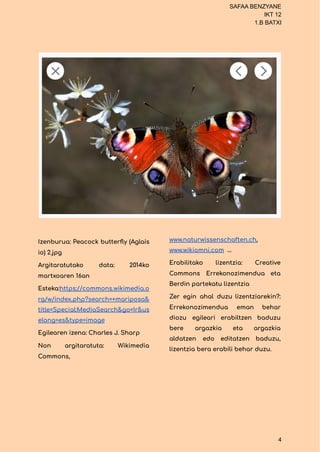 SAFAA BENZYANE
IKT 12
1.B BATXI
Izenburua: Peacock butterfly (Aglais
io) 2.jpg
Argitaratutako data: 2014ko
martxoaren 16an...