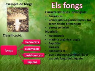 exemple de fongs:

                               Característiques principals:
                               • Eucariotes
                               • unicel·lulars o pluricel·lulars. No
                                 tenen teixits diferenciats
                               • parets cel·lulars
                               Nutrició
Classificació:                 •   Heteròtrofs
                               •   matèria orgànica i aigua
                 ficomicets    •   Sapròfits
                               •   Paràsits
                 ascomicets
 fongs                         •   Simbionts el
                 basidiomicets •   que s'anomena simbiosi. És el
                                   cas dels fongs dels líquens
                   líquens
 