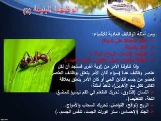 ‫لألشياء‬ ‫المادية‬ ‫الوظائف‬ ‫أمثلة‬ ‫ومن‬:
‫األكل‬(‫الحياة‬ ‫على‬ ‫الحفاظ‬)
‫الحركة‬‫و‬ ‫النقل‬
‫اصل‬‫و‬‫الت‬(‫الرئة‬ ،‫الرياح‬ ،‫اللسان‬)..
‫البيئي‬ ‫ازن‬‫و‬‫الت‬‫و‬ ‫النظافة‬(‫الدود‬ ،‫النمل‬ ،‫الطيور‬)..
‫لكل‬ ‫أن‬ ‫فسنجد‬ ‫ى‬‫أخر‬ ‫اوية‬‫ز‬ ‫من‬ ‫األمر‬ ‫تناولنا‬ ‫ذا‬‫ا‬‫و‬
‫عدة‬ ‫وظائف‬ ‫عنصر‬(‫العنصر‬ ‫بوظائف‬ ‫يتعلق‬ ‫األمر‬ ‫أكان‬ ‫اء‬‫و‬‫س‬
‫بعالقة‬ ‫يتعلق‬ ‫األمر‬ ‫كان‬ ‫أو‬ ‫الحي‬ ‫الكائن‬ ‫جسم‬ ‫من‬ ‫كعضو‬
‫اآلخرين‬ ‫مع‬ ‫ككل‬ ‫الكائن‬)‫أمثلة‬ ‫نأخذ‬ ،:
‫اللسان‬(،‫للمضغ‬ ‫ا‬‫ر‬‫تيسي‬ ‫الفم‬ ‫في‬ ‫الطعام‬ ‫تحريك‬ ،‫التذوق‬
‫التنظيف‬ ،‫اللغة‬.)
‫الريح‬(‫اج‬‫و‬‫األم‬‫و‬ ‫السحاب‬ ‫تحريك‬ ،‫اصل‬‫و‬‫الت‬ ،‫اقح‬‫و‬‫ل‬..
‫الجلد‬(‫الجسم‬ ‫تنفس‬ ،‫الجسد‬ ‫ات‬‫ر‬‫عو‬ ‫ستر‬ ،‫اإلحساس‬)..
 