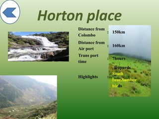 Horton place
Distance from
Colombo
: 150km
Distance from
Air port
: 160km
Trans port
time
: 7hours
Highlights :
, leopards
South
bear.Sambur
birds
 