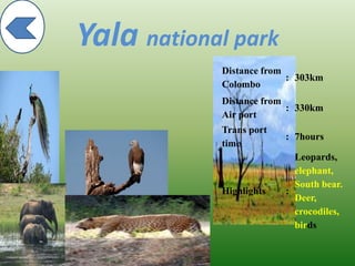 Yala national park
Distance from
Colombo
: 303km
Distance from
Air port
: 330km
Trans port
time
: 7hours
Highlights :
Leopards,
elephant,
South bear.
Deer,
crocodiles,
birds
 
