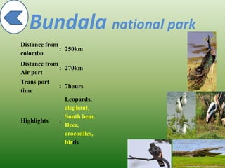 Bundala national park
Distance from
colombo
: 250km
Distance from
Air port
: 270km
Trans port
time
: 7hours
Highlights :
Leopards,
elephant,
South bear.
Deer,
crocodiles,
birds
 