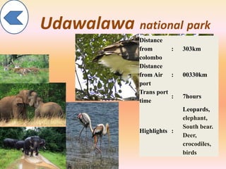 Udawalawa national park
Distance
from
colombo
: 303km
Distance
from Air
port
: 00330km
Trans port
time
: 7hours
Highlights :
Leopards,
elephant,
South bear.
Deer,
crocodiles,
birds
 
