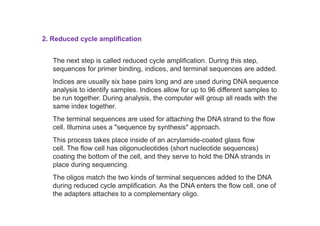 Sequion DNA sequencing in molecular biology and ge | PDF