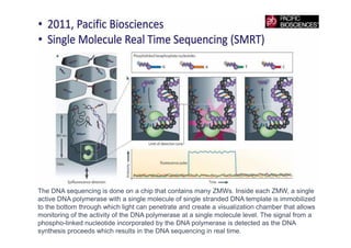 DNA sequencing in molecular biology and ge | PDF