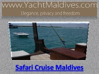 Safari Cruise Maldives
 