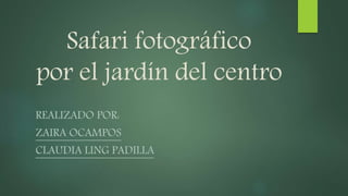 Safari fotográfico
por el jardín del centro
REALIZADO POR:
ZAIRA OCAMPOS
CLAUDIA LING PADILLA
 