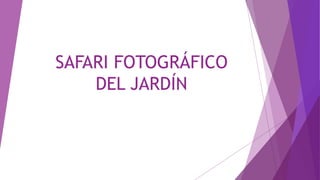 SAFARI FOTOGRÁFICO
DEL JARDÍN
 