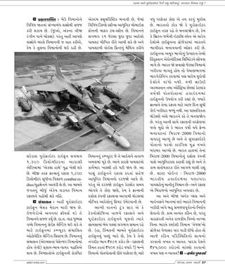safari gujarati magazine safari gujarati magazine