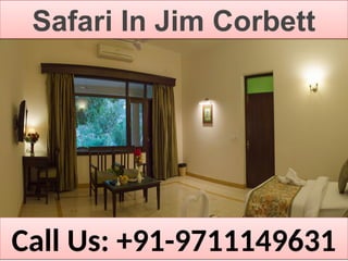 Safari In Jim CorbettSafari In Jim Corbett
Call Us: +91-9711149631Call Us: +91-9711149631
 