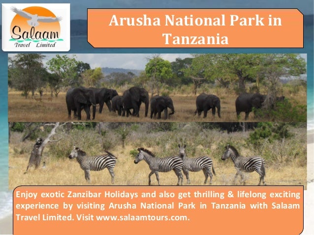 Safari Package To Serengeti And Ngorongoro