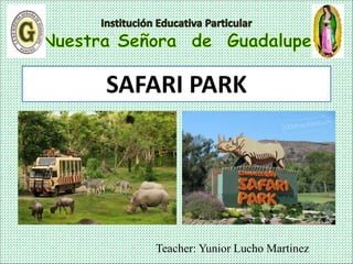 Teacher: Yunior Lucho Martinez
SAFARI PARK
 
