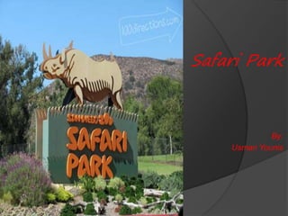 Safari Park
By:
Usman Younis
 